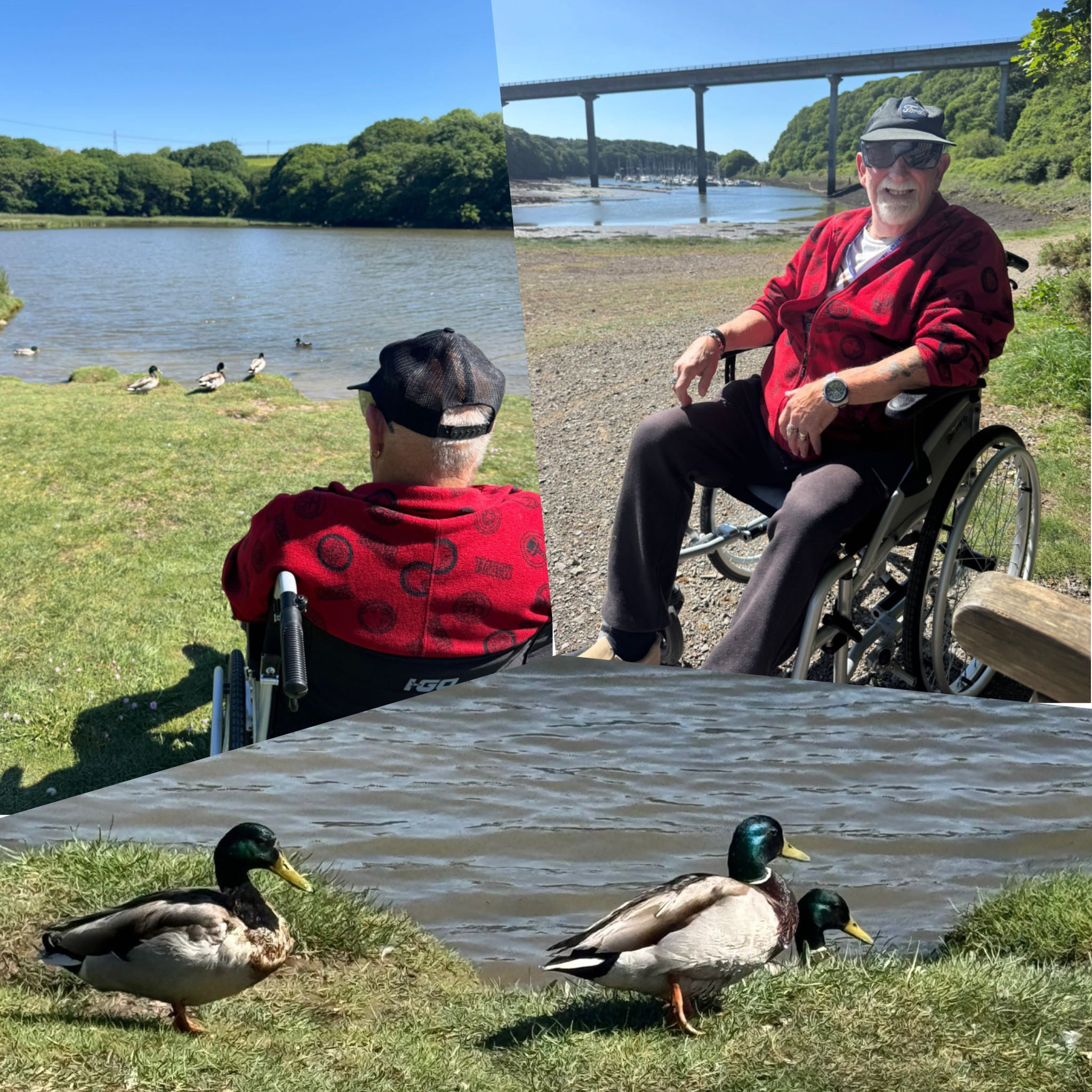 Care and Companionship with Emma